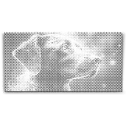 PontPottyozo_Szivarvany_kutya_M2