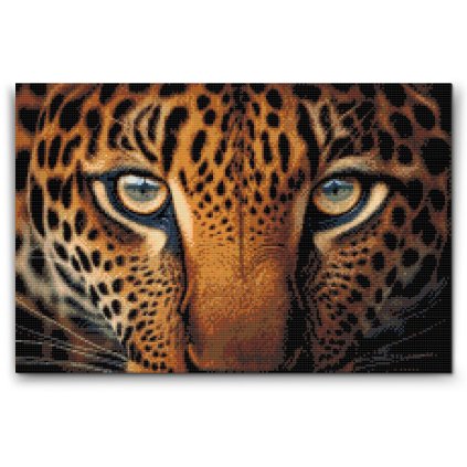 Gyemantszemes_kirako_Leopard_kozelrol_M2