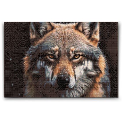 Gyemantszemes_kirako_A_farkas_tekintete_M2