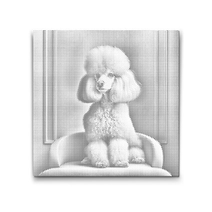 PontPottyozo_Rozsaszin_puli_M2
