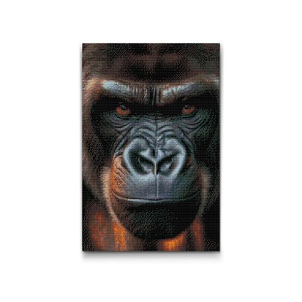 Gyemantszemes_kirako_Gorilla_arca_M2