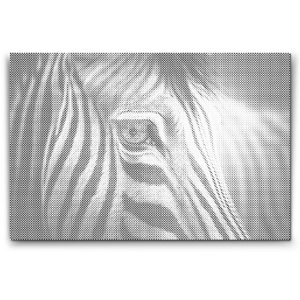 PontPottyozo_Zebra_kozelrol_M2