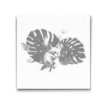 PontPottyozo_Roka_es_monstera_M2