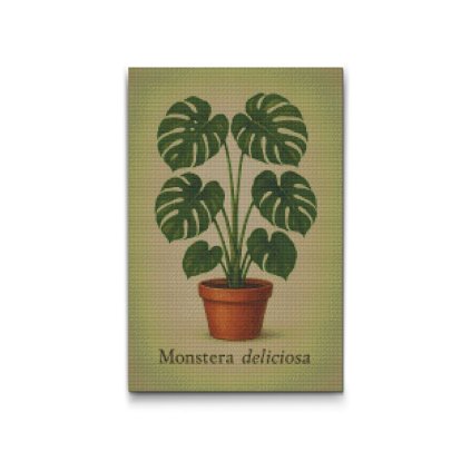 Gyemantszemes_kirako_Monstera_deliciosa_M2