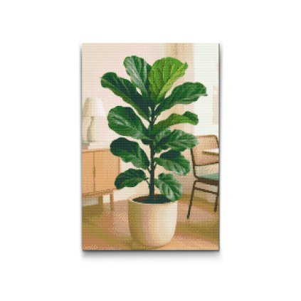 Gyemantszemes_kirako_Lantlevelu_fikusz_M2