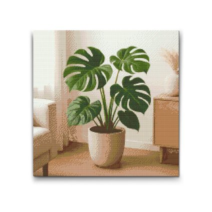 Gyemantszemes_kirako_Monstera_deliciosa_M2