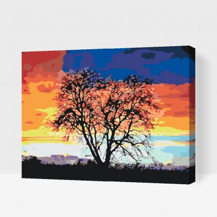 Festés számok szerint – Fa színpompás naplementével a háttérben