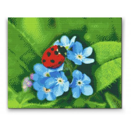 Gyémántszemes festmény – Katica kék virágon