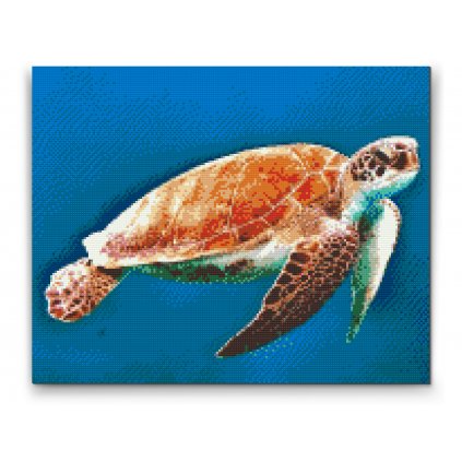 Gyémántszemes festmény – Tengeri teknős