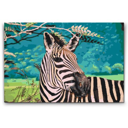 Festes_szamok_szerint_Vad_zebra_M2