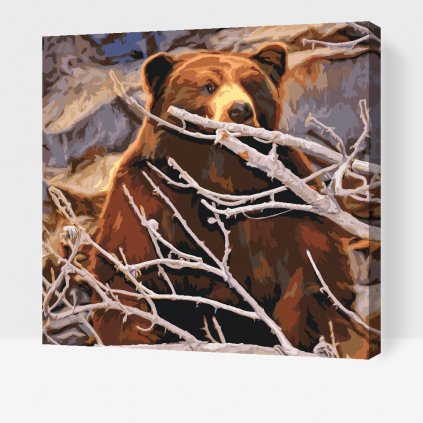 Festés számok szerint – Medve vadászat közben