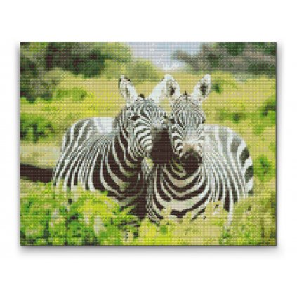 Gyémántszemes festmény – Szafaris zebrák
