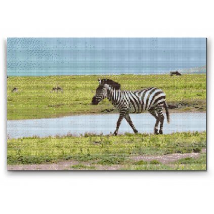 Gyémántszemes festmény – Serengeti Nemzeti Park 2