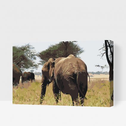 Festés számok szerint – Serengeti Nemzeti Park
