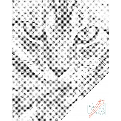 PontPöttyöző – Aranyos cica