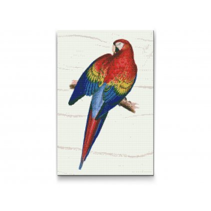 Gyémántszemes festmény – Vintage papagáj 2