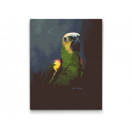 Gyémántszemes festmény – Amazon-papagáj