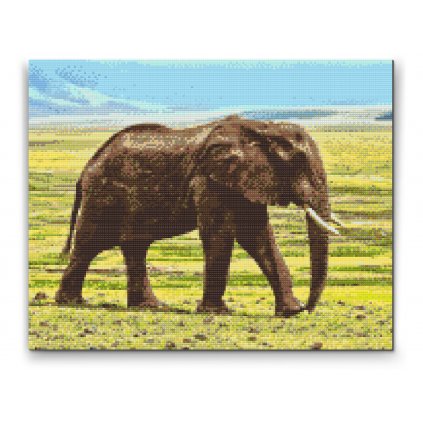 Gyémántszemes festmény – Szafari elefánt
