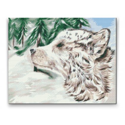Gyémántszemes festmény – Kutya hóban