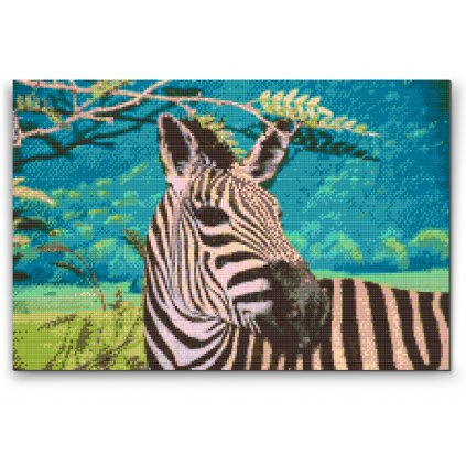 Gyémántszemes festmény – Vad zebra