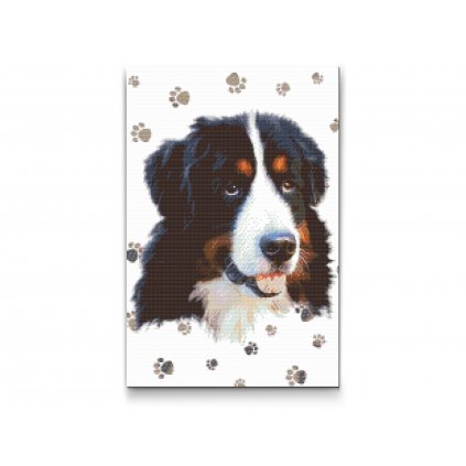 Gyémántszemes festmény – Kutya és mancsnyomok