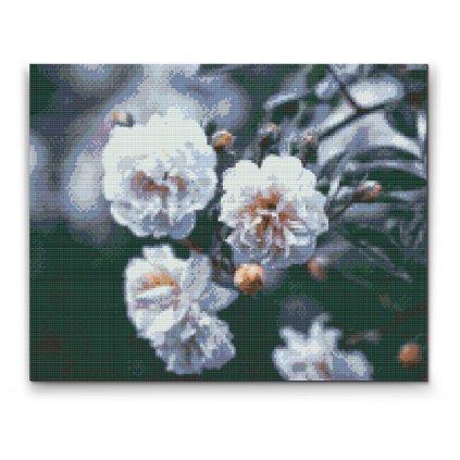 Gyémántszemes festmény – Virágzó fehér rózsák