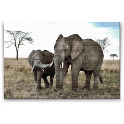 Gyémántszemes festmény – Elefántkölyök az anyjával