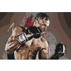 Festés számok szerint – Boxer illusztráció