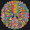 Festés számok szerint – Mandala pillangóval