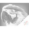 PontPöttyöző – Ara papagáj 2