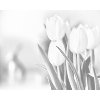 M11_PontPöttyöző_-_Fehér_tulipánok