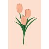 Festés számok szerint - Rózsaszín tulipánok