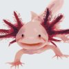 Festés számok szerint - Axolotl 3