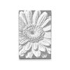 M2_PontPöttyöző_-_Gerbera