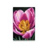 M2_Gyémántszemes_kirakó_-_Tulipán