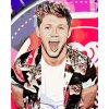 Festés számok szerint – Niall Horan 1