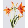 Festés számok szerint – Vintage liliom