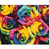Festés számok szerint – Színpompás rózsák