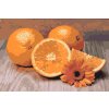 Festés számok szerint – Citrusok, narancs