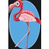 Festés számok szerint – Sétáló flamingó
