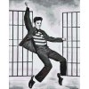Festés számok szerint - Elvis Presley