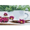 Festés számok szerint – Egy csésze tea egy téli délutánon