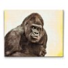 Gyémántszemes festmény – Gorilla