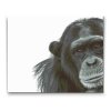 Gyémántszemes festmény – Csimpánz