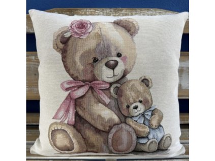 Medvěd s malým medvídkem