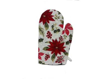 Slavnostní, vánoční hvězdy