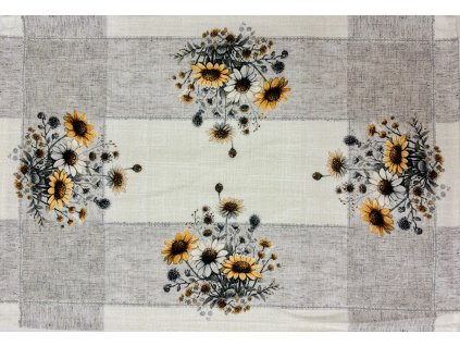 Žlutobílé slunečnice