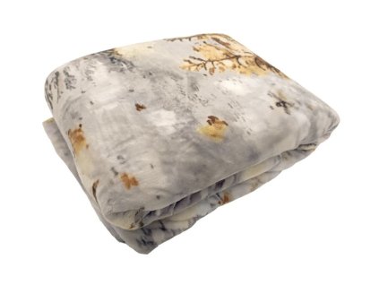 Zimní krajina v mlze