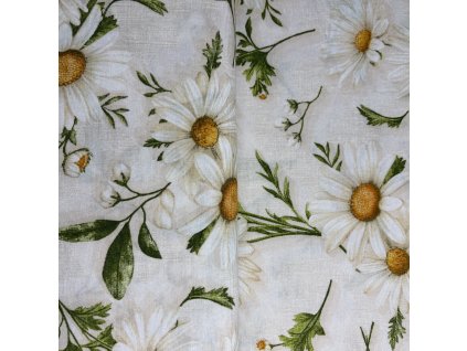 Letní louka kopretin