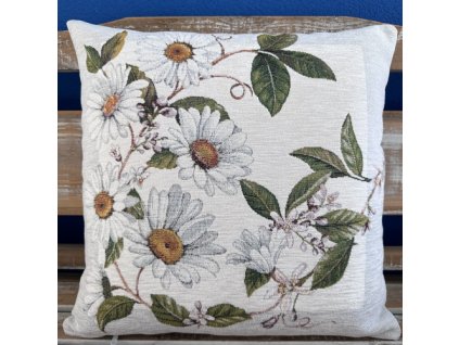 rozkvetlé kopretiny